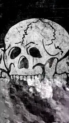 Skull Wallpapers android App screenshot 1