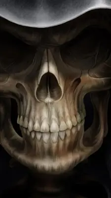 Skull Wallpapers android App screenshot 2